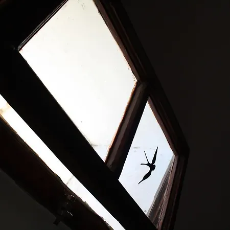Lisbon's Attic Lisboa